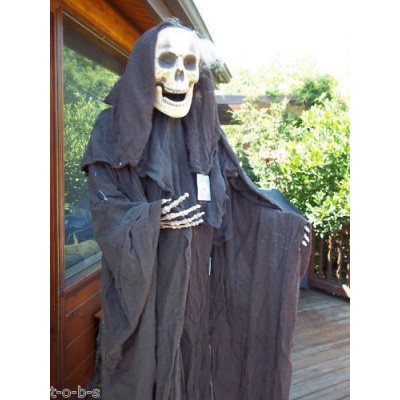 Grandinroad Halloween Prop Life Size Grim Cloaked Reaper Skull skeleton deadman   171631648027